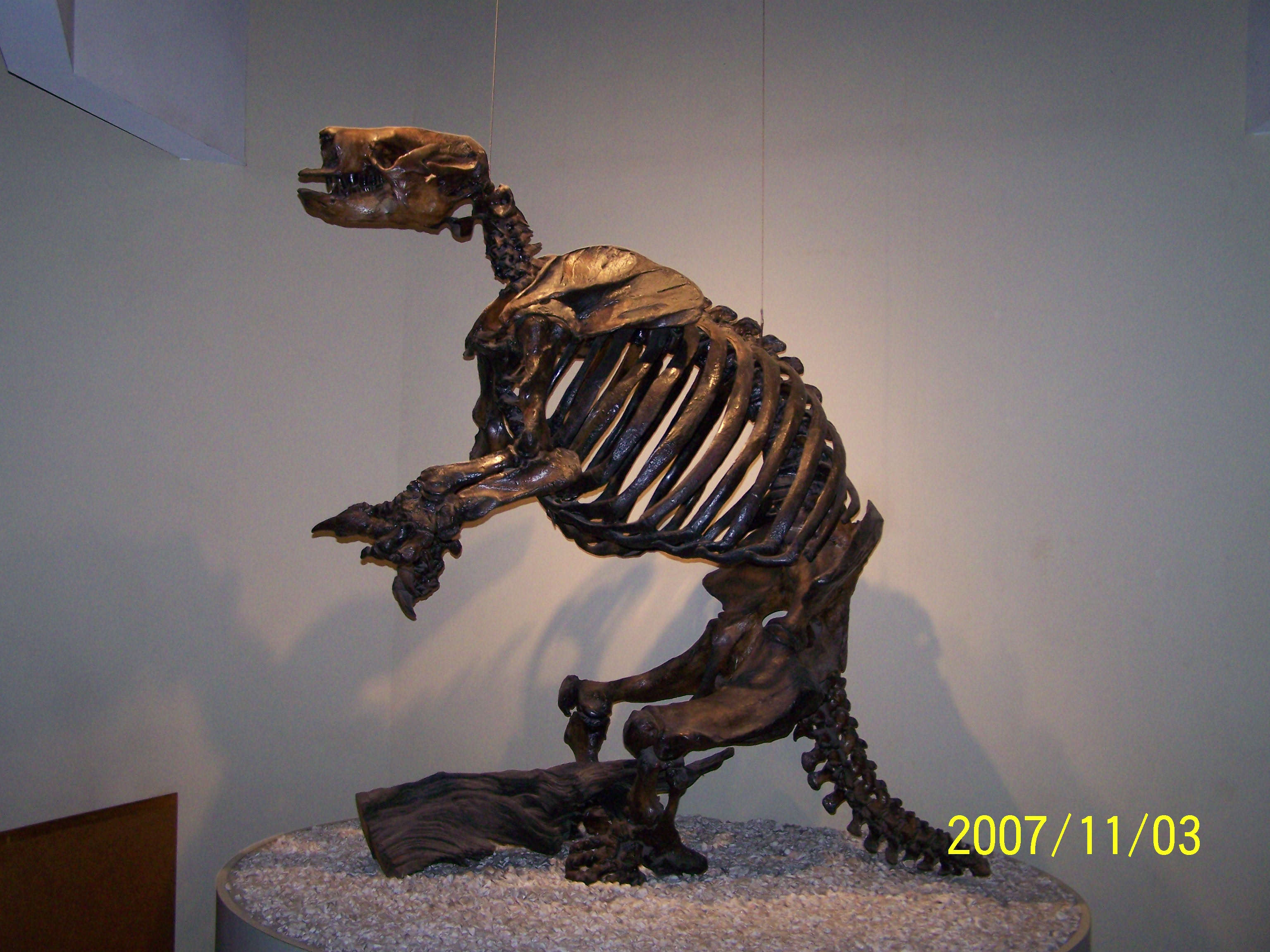 giant_sloth023.jpg